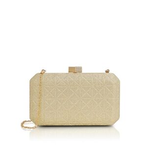 Lavie Luxe Women's Apex Clutch | Ladies purse |Gift For Women
